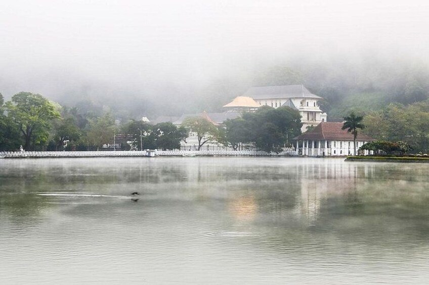 Adventure Day Itinerary to Kandy From Colombo or Airport 2