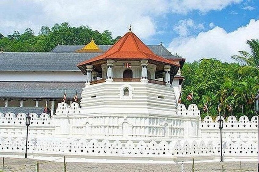 Adventure Day Itinerary to Kandy From Colombo or Airport 4