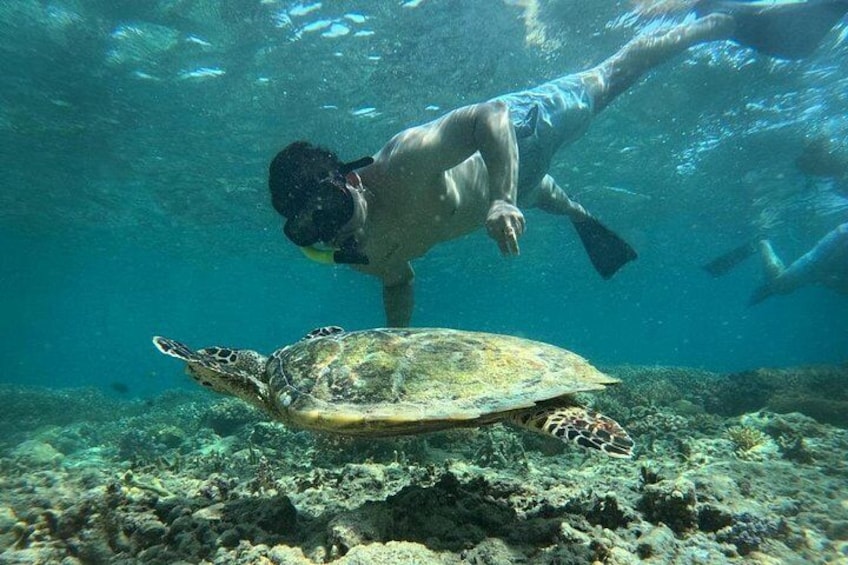 Gili Island Exclusive Private Snorkeling Underwater Escape 2
