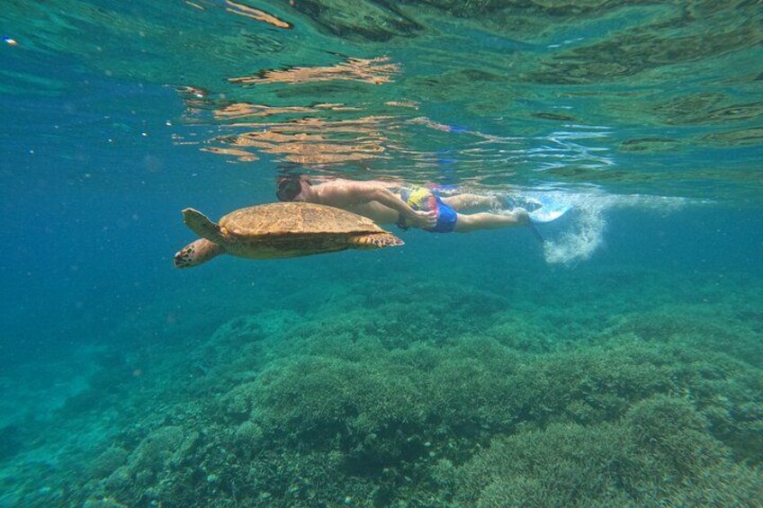 Gili Island Exclusive Private Snorkeling Underwater Escape 2