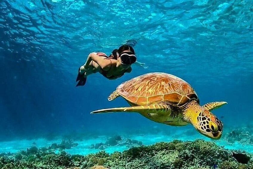 Gili Island Exclusive Private Snorkeling Underwater Escape 2