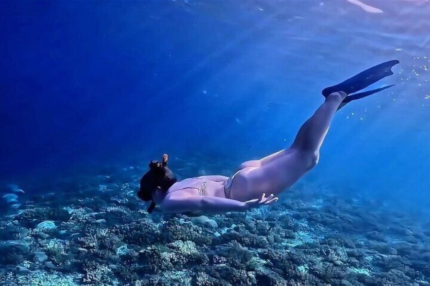A person swimming underwater with fins, surrounded by coral. 2