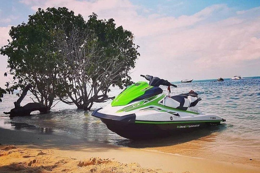 En jetski på en sandstrand med et træ i vandet. 2