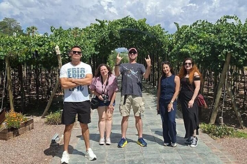 Casa Vigil (the enemy) + 2 wineries + Olivicola 4