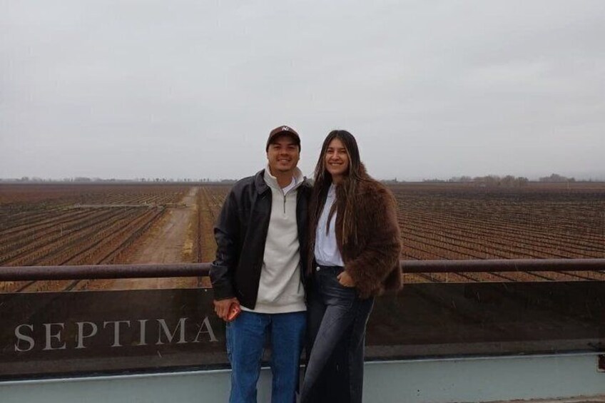 Casa Vigil (the enemy) + 2 wineries + Olivicola 4