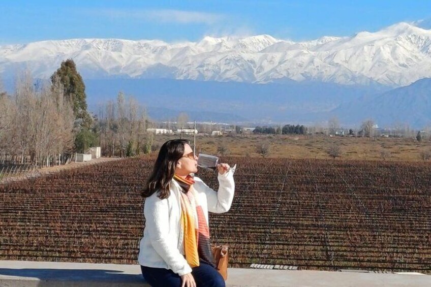 Casa Vigil (the enemy) + 2 wineries + Olivicola 5
