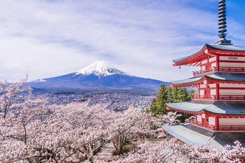 A cherry blossom tree, a pagoda, and Mount Fuji in the background. 4