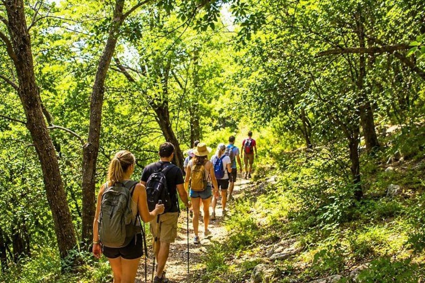 Chouwen Lake Hike & Swim | Jabal Moussa Reserve Day Trip 5