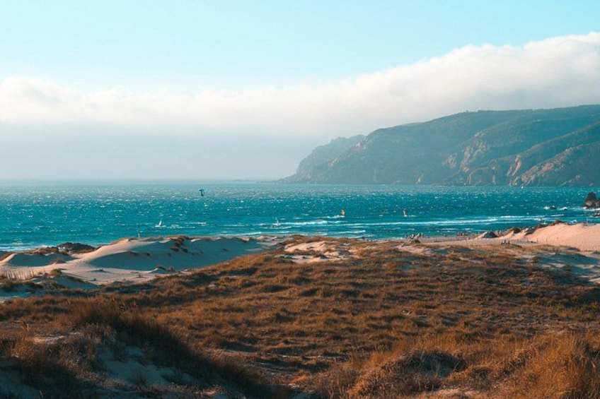 A coastal landscape with a sandy beach, grassy dunes, and a clear blue sea. 3