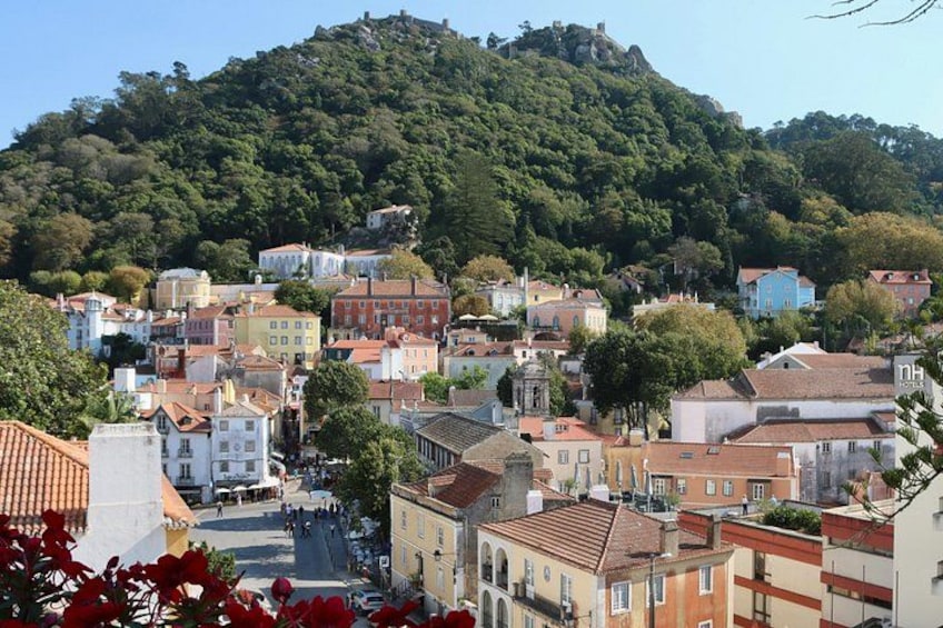 A town with buildings, a hill, and trees. 5