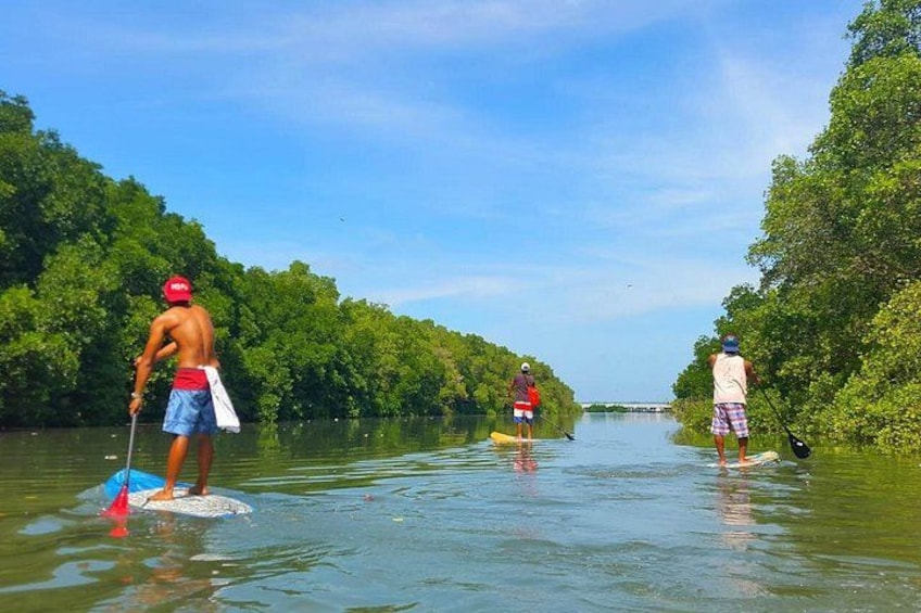 Stand Up Paddle Boarding with Pickup & Drop Off 1