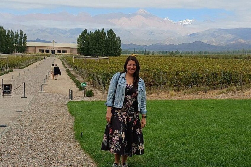 Salentein (Uco Valley) + 2 wineries with lunch included 5
