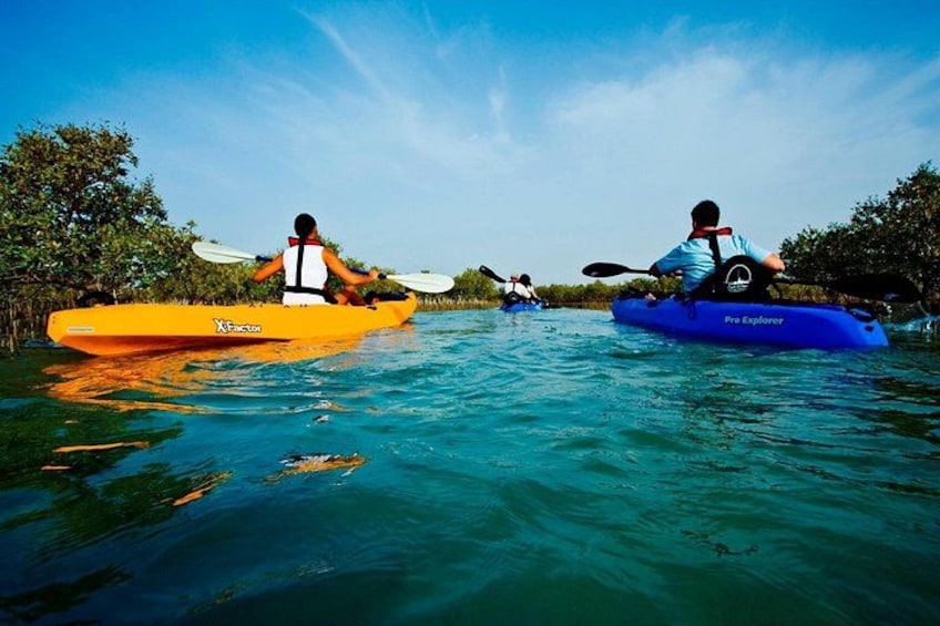 Mangroves Kayaking with Pickup & Drop Off 5