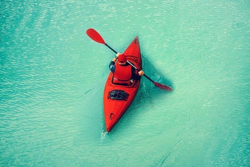 Eco-Mangrove Boat Cruises