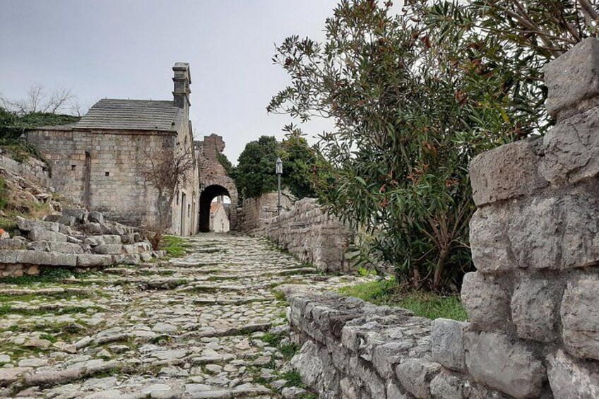 Port of Bar - Old town Bar and oldest European Olive tree visit 2