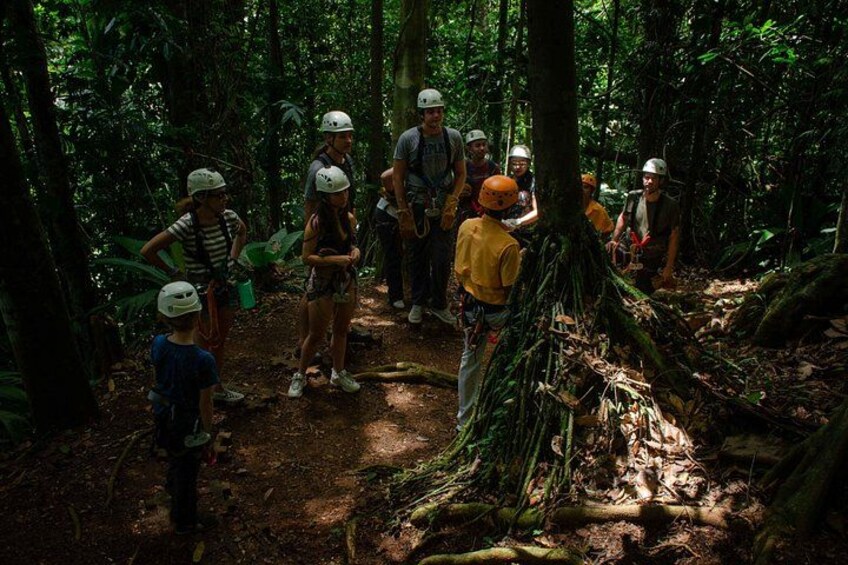 Take your adrenaline to the fullest with our Zipline tour! 3