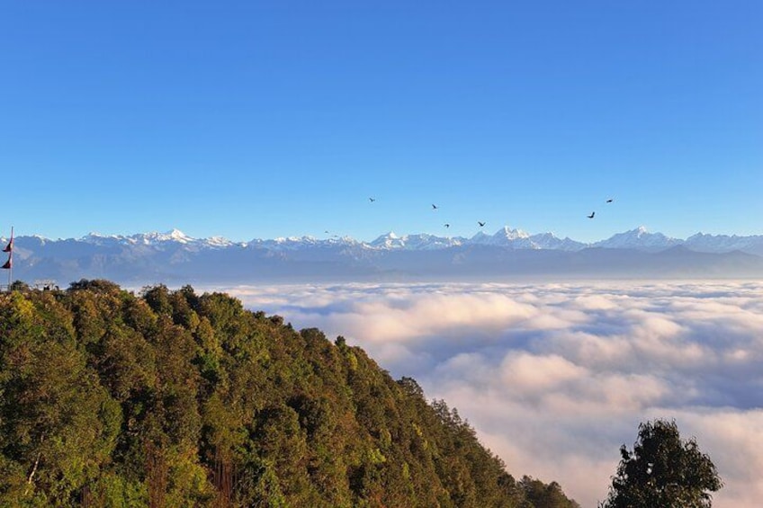 A mountain landscape with a flag, dense forest, and a view of snow-capped peaks in the distance. 3