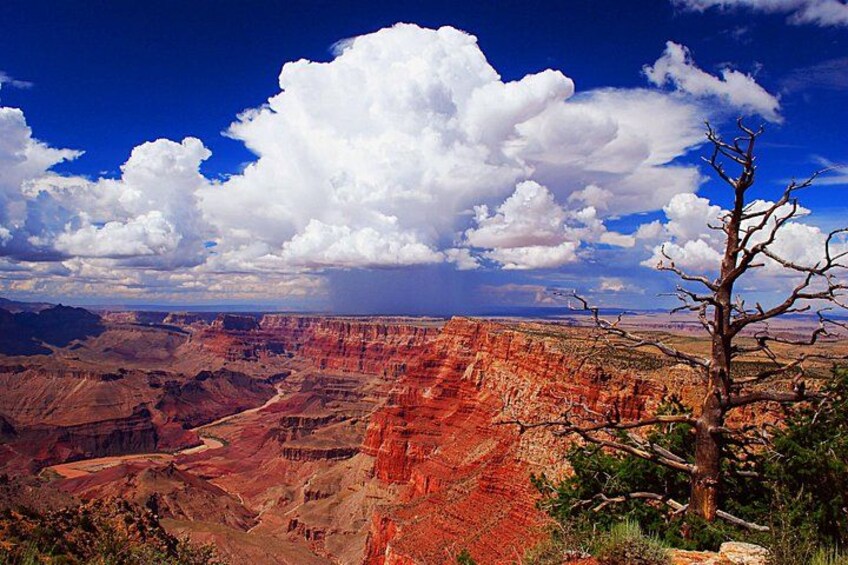 A canyon with layered rock formations, a clear sky, and a prominent cloud. 2