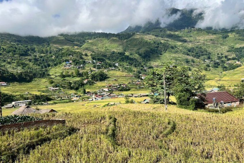 Un paysage rural caractérisé par des champs en terrasses, un petit village et des collines douces en arrière-plan. 5