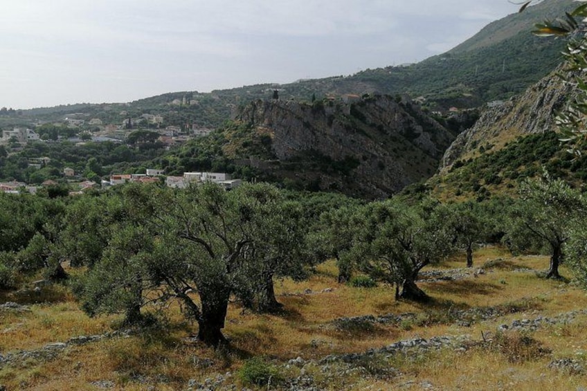 A mountainous landscape with olive trees and a village in the valley. 5
