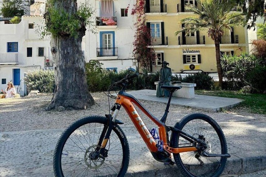 Ein Fahrrad auf einem Kopfsteinpflasterweg, im Hintergrund Bäume und Gebäude. 5