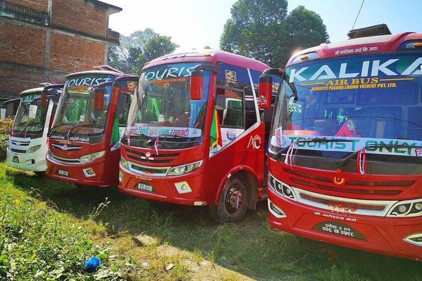 A row of red buses parked outdoors with visible branding. 2