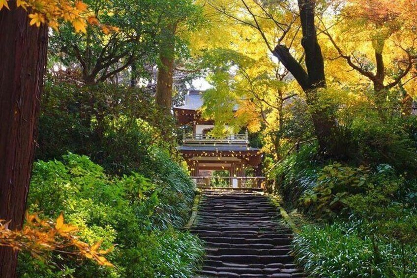 Kamakura Zen Temples and Gardens Private Trip with Nationally-Licensed Guide