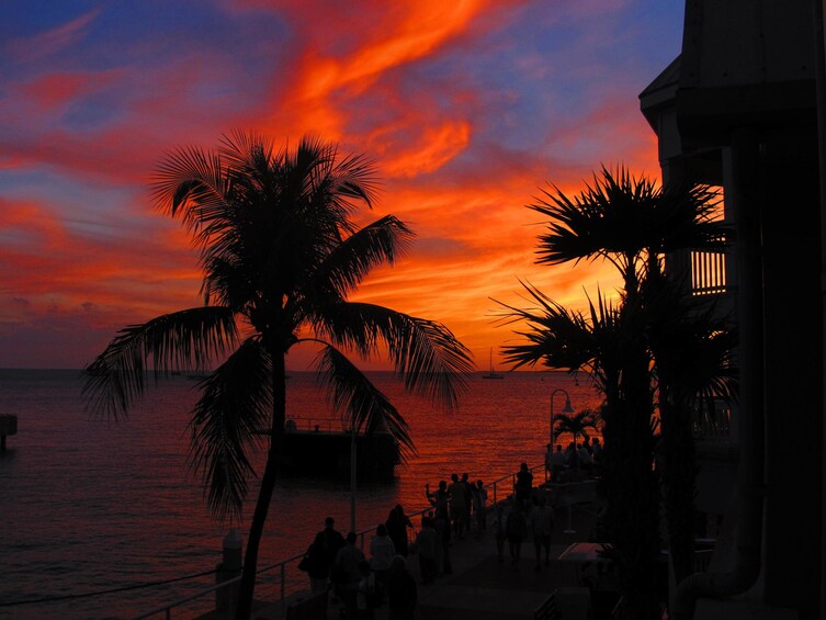 Key West & Hop-on Hop-off Trolley from Fort Lauderdale