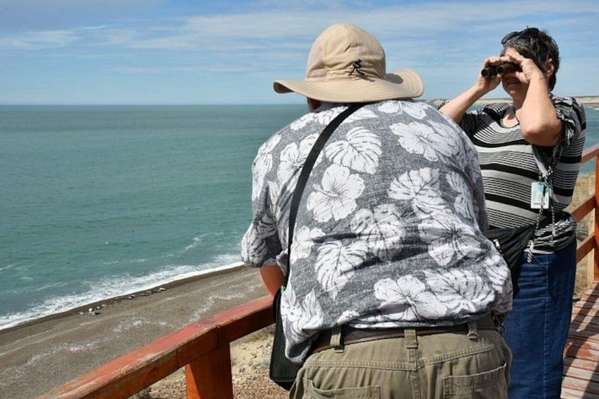 A person in a hat and floral shirt standing on a wooden deck, looking out at the ocean. 3