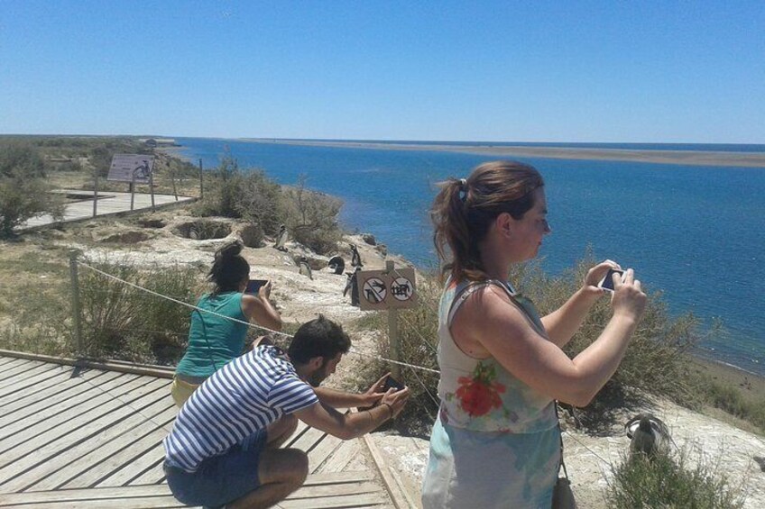 Penguins in Caleta Valdés, from September to April

Photo: Facu