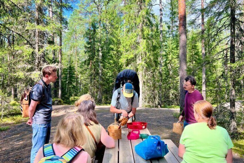 Mushroom Hunting in a National Park 3