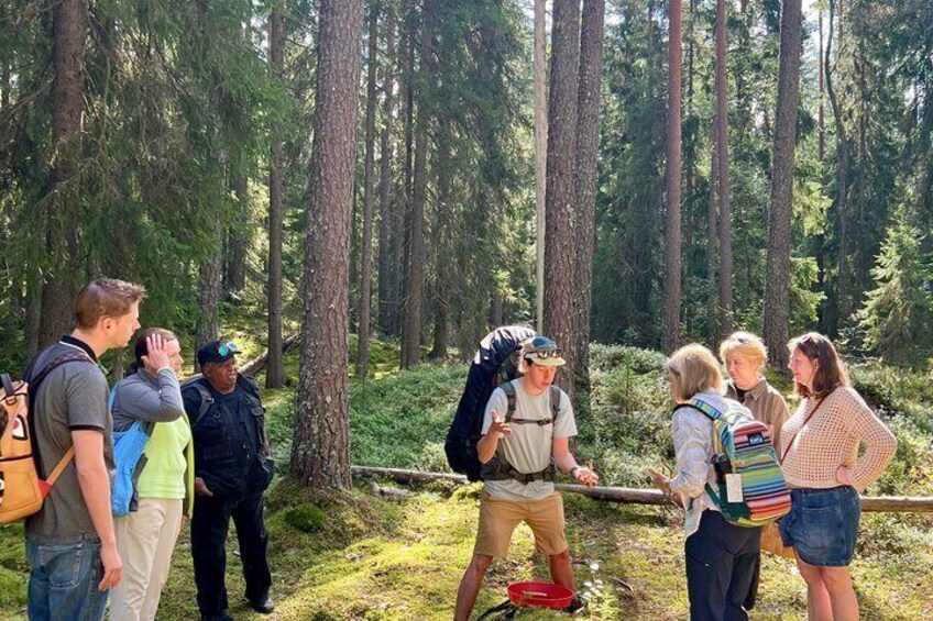 Mushroom Hunting in a National Park 2