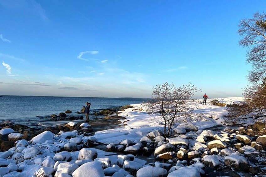 Archipelago Excursion from Helsinki with Lunch and Transportation 2