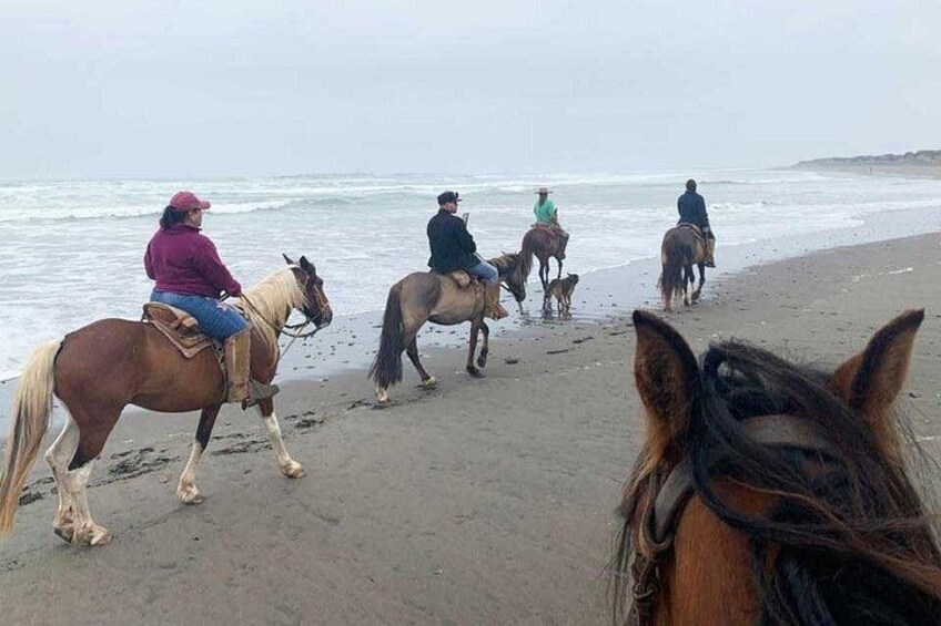 Ritoque Riding and Birdwatching 1