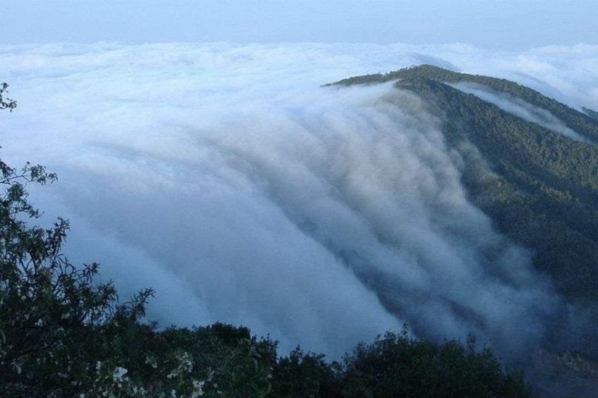 Paisaje montañoso con densa niebla cubriendo las zonas bajas. 4