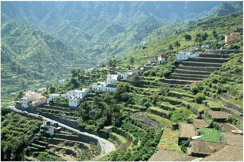 Campos escalonados, edificios blancos y colinas verdes exuberantes. 5