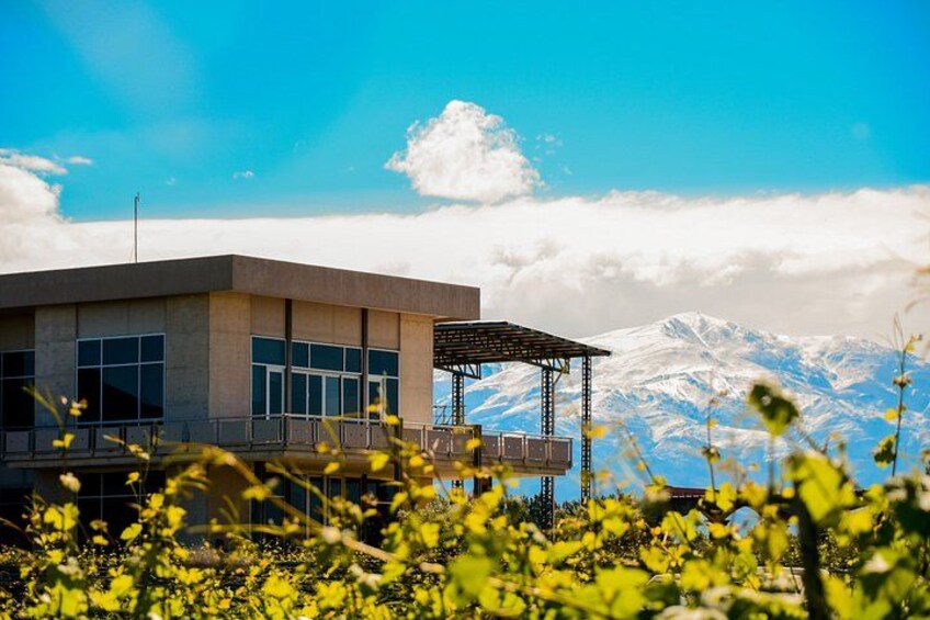 Private Tour + Uco Valley Vinicolas 2