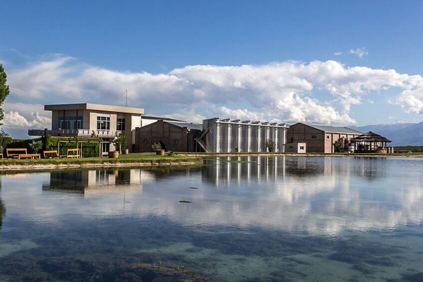 Private Tour + Uco Valley Vinicolas 3