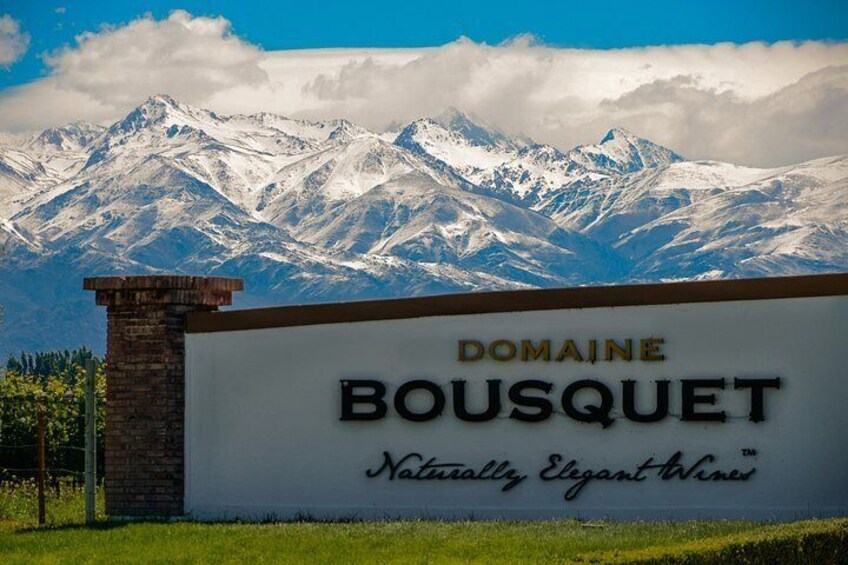 Private Tour + Uco Valley Vinicolas 2