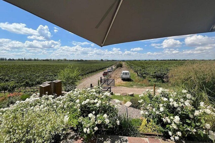 Private Tour + Uco Valley Vinicolas 5