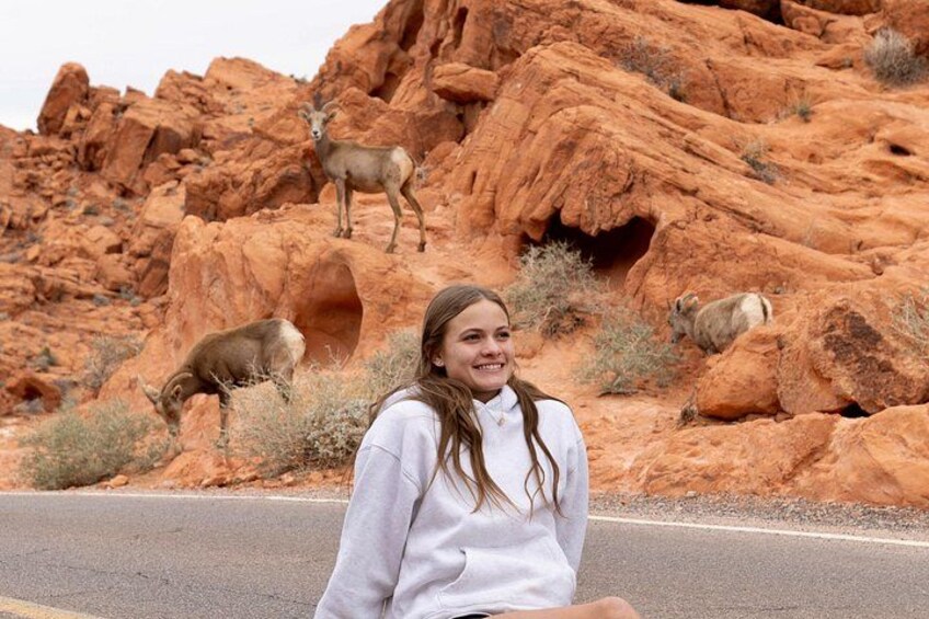 A desert landscape with red rock formations, a road, and a person sitting on the side. 2
