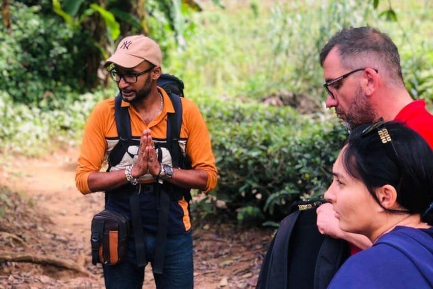 Discover Ella - Ella Rock, Little Adam's Peak & Nine Arch Bridge 2