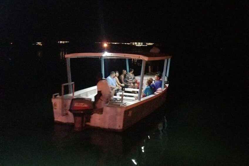 Luminous Lagoon Night Tour from Montego Bay 4