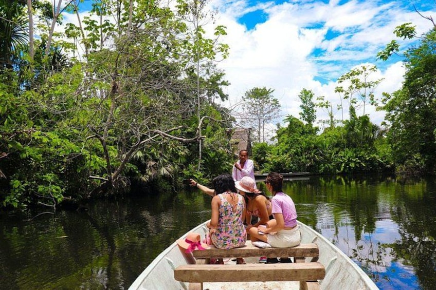 A boat with people on a river surrounded by dense greenery. 1
