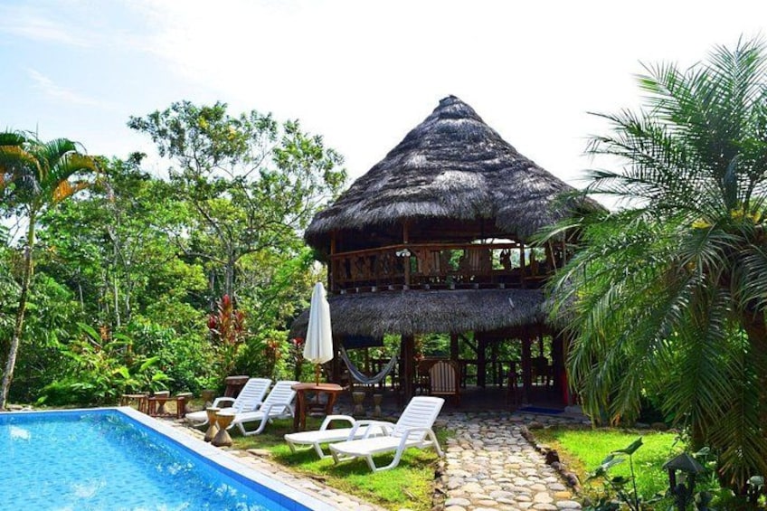 A thatched-roof house with a pool and lounge chairs. 3