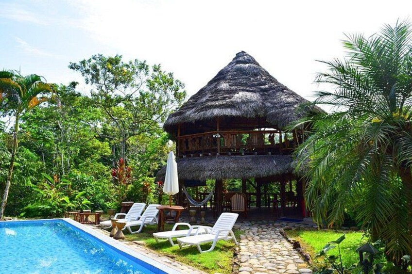 A thatched-roof house with a pool and lounge chairs. 3