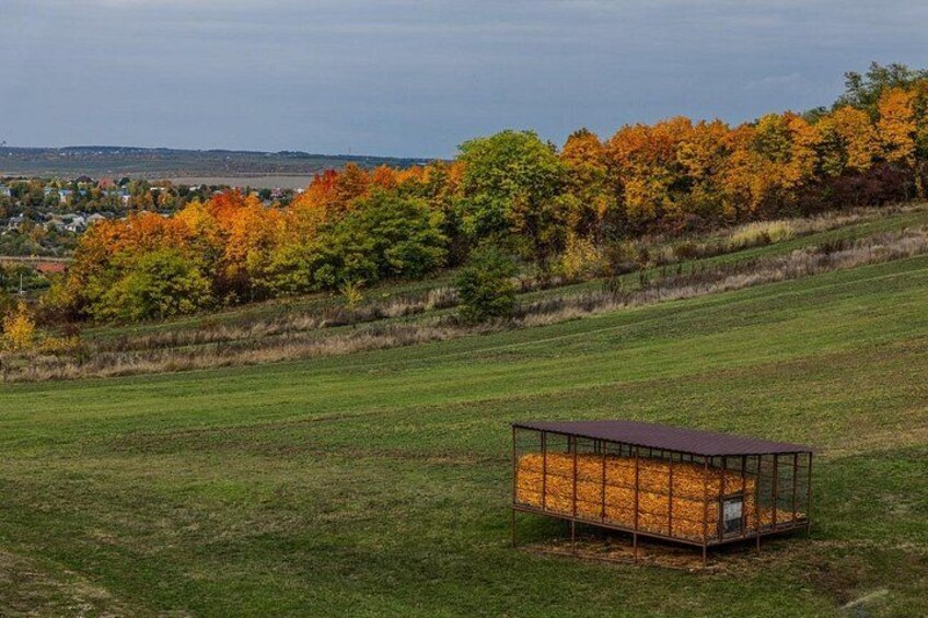 Une structure métallique se dresse dans un champ herbeux, avec des arbres aux couleurs automnales en arrière-plan. 2