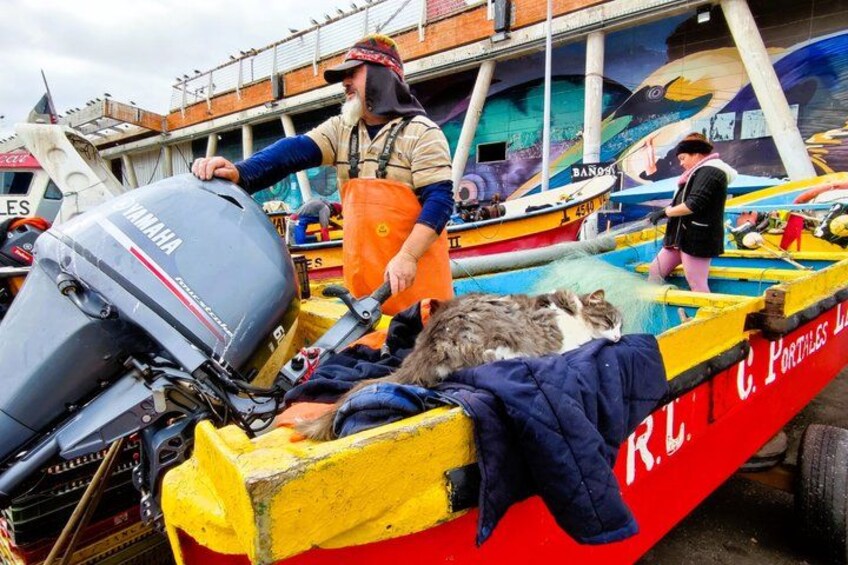 A colorful boat with a Yamaha outboard motor, a person in orange overalls, and a cat on the deck. 2
