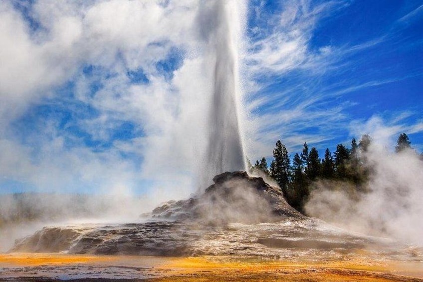 Ein Geysir mit aufsteigendem Dampf, umgeben von Bäumen und wolkenlosem Himmel. 5