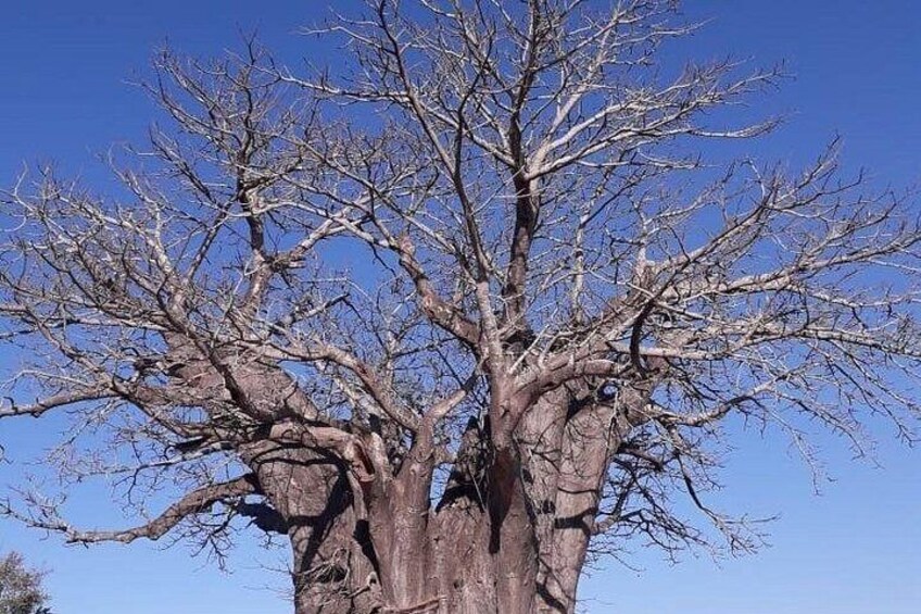 Full Day Panorama Hike and Scenic Tour minimum 2 people 4